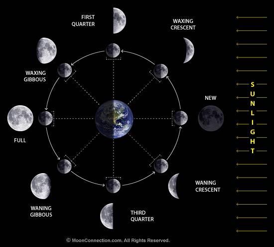images of moon phases