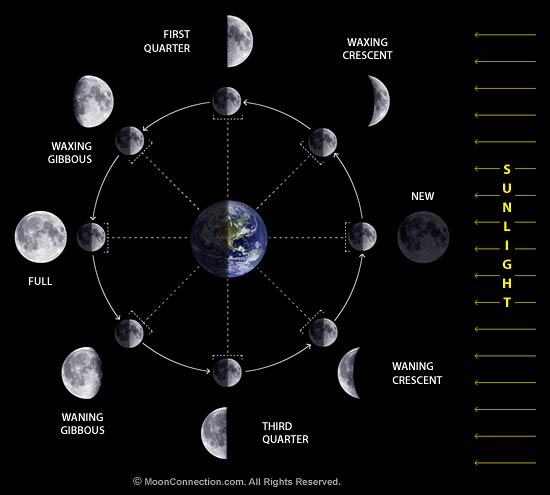 The good way to understand the phases of the moon is to examine an